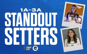 1-3A Setters to Watch