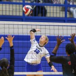 Madi Buysse