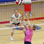 Mallory Ickowitz