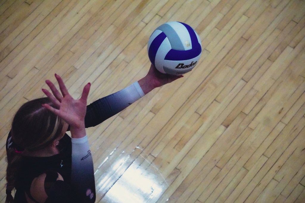 Tell Us Who YOU Think Should be Miss Baden Volleyball