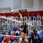 Joslyn Knepp