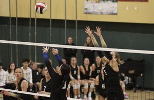 Free to Vote: Who is the Top Setter in Oregon For 2025?