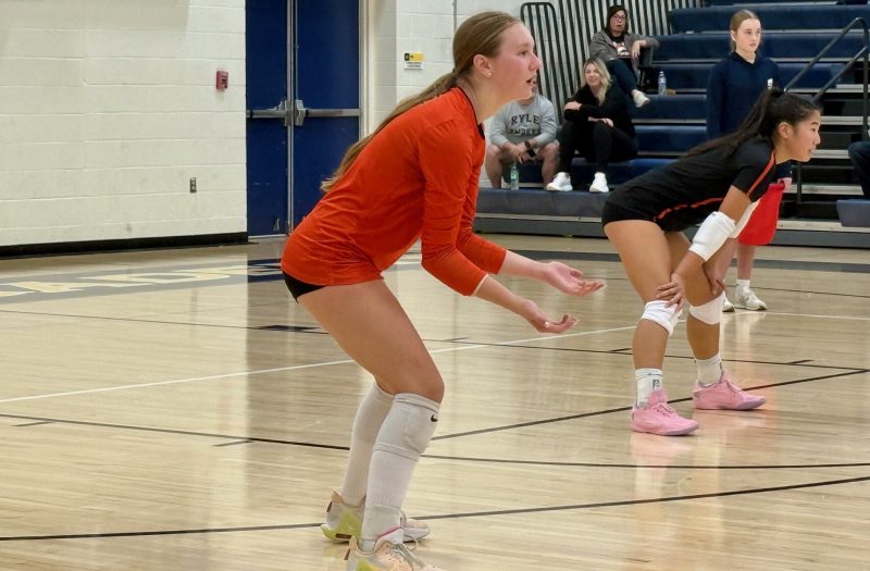Five Stock Risers in Latest 2028 Rankings