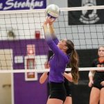 South Dakota Setters: Running the Court and Dominating the Stats