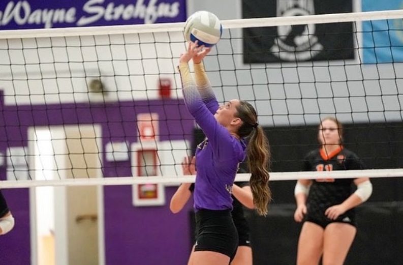 South Dakota Setters: Running the Court and Dominating the Stats
