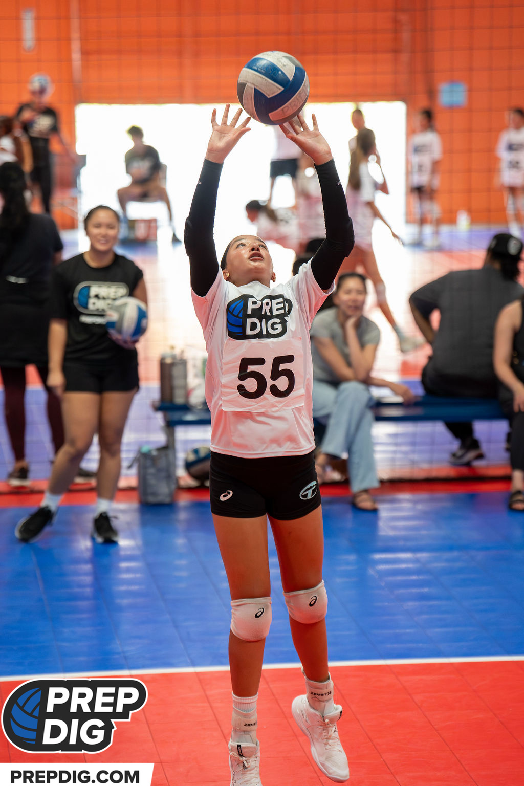 Setters and Opposites Rise to the Moment