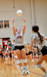 Bishop Kenny Dig's Pink:  Dominant Setters