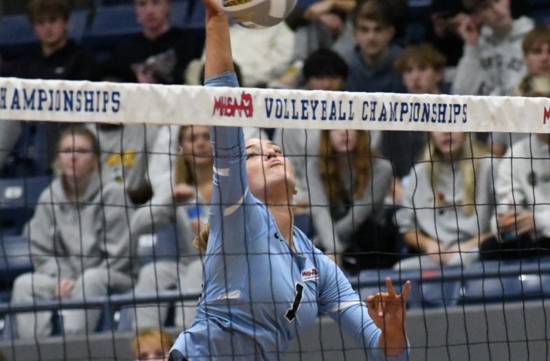 VOTE: Who Will Be D2 Player Of The Year In 2026