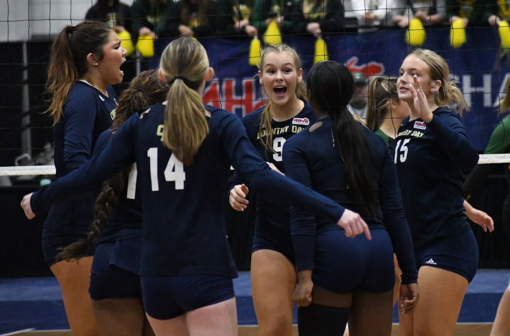 2025 Michigan HS D2 All Prep-Dig Teams