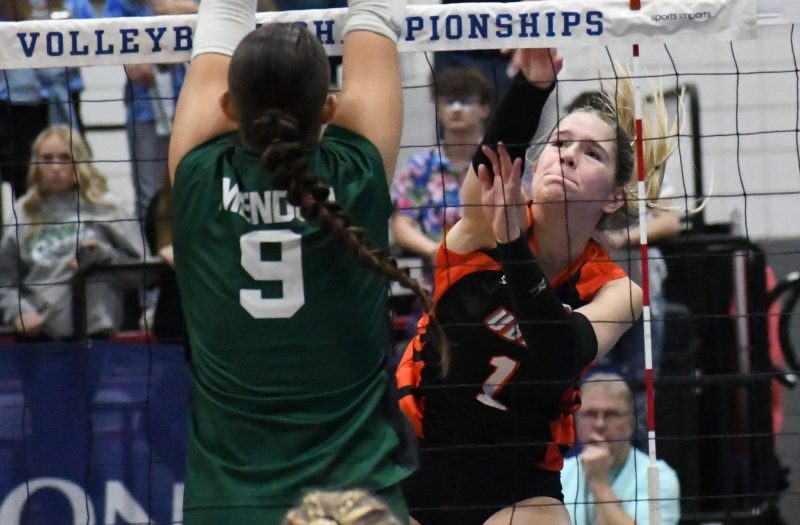 The Thumb Area’s Top Underclassmen