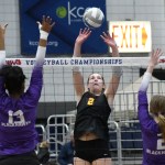 Miss Volleyball 2026: Who Could Be A Finalist?