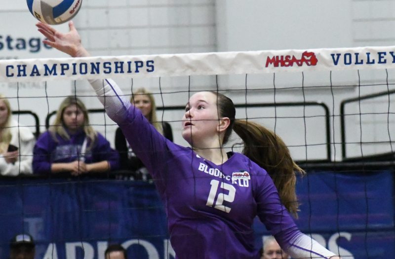 Class of 2028 Prospect Roulette For February