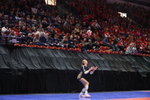 WIAA VB Playoffs: Fixing The "Pre-Determined" vs. "Neutral Site"