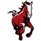 Red Lake County Central