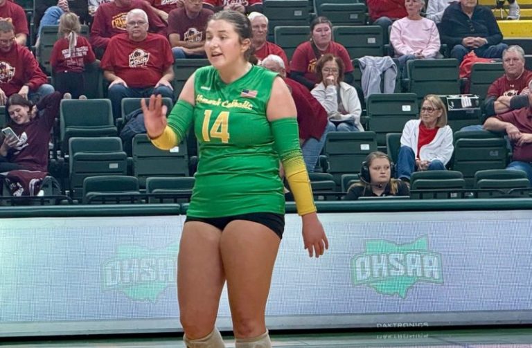 Division VI Semifinals: Newark Catholic, St. Henry move on