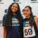 High IQ, High Energy: Four Players to Know