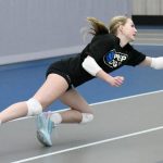 2026 Michigan Stock Up Showcase Preview: Liberos