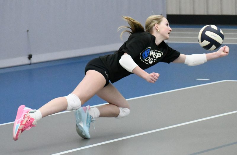 2026 Michigan Stock Up Showcase Preview: Liberos