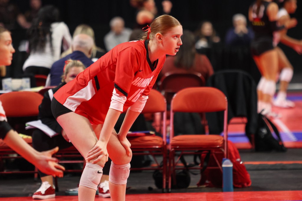 Get to Know the Pins on the Debut 2029 Watchlist