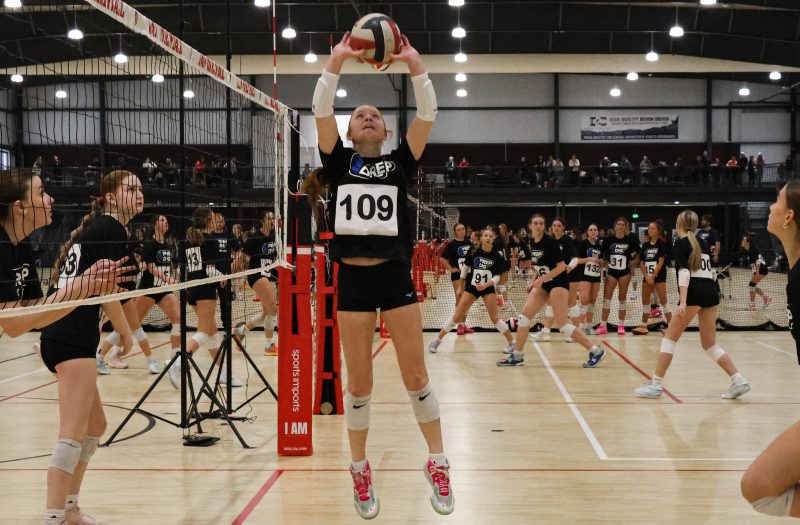 Setters Running the Show on the Debut 2029 Watchlist