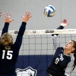 Poppin’ Pins from the 2025 Michigan Expo