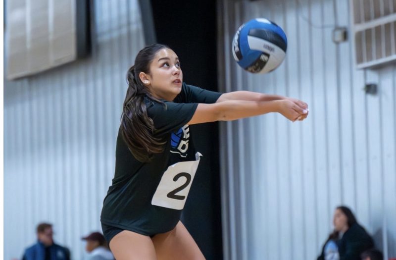 Back Row Brilliance at Spring Smackdown