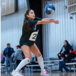 Five Diggers Doing the Most at the Showcase