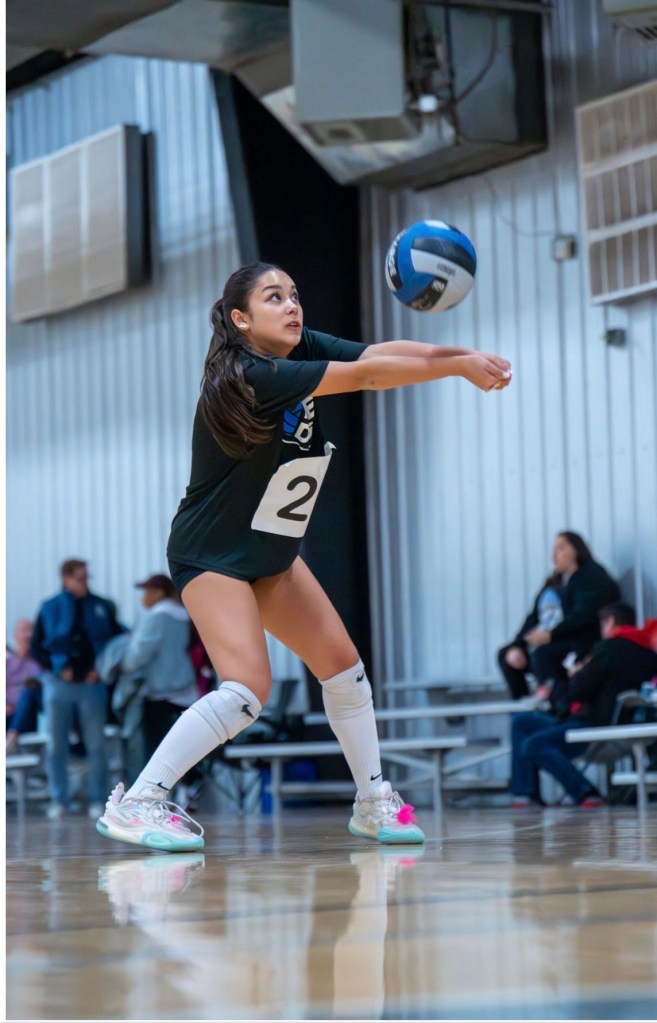 Five Diggers Doing the Most at the Showcase