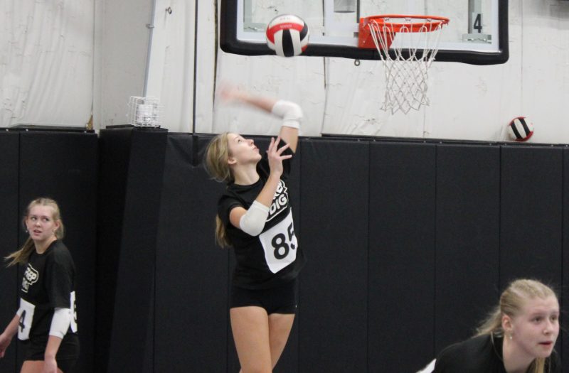 Which 2029s Made a Splash at Iowa Exposure Tour?