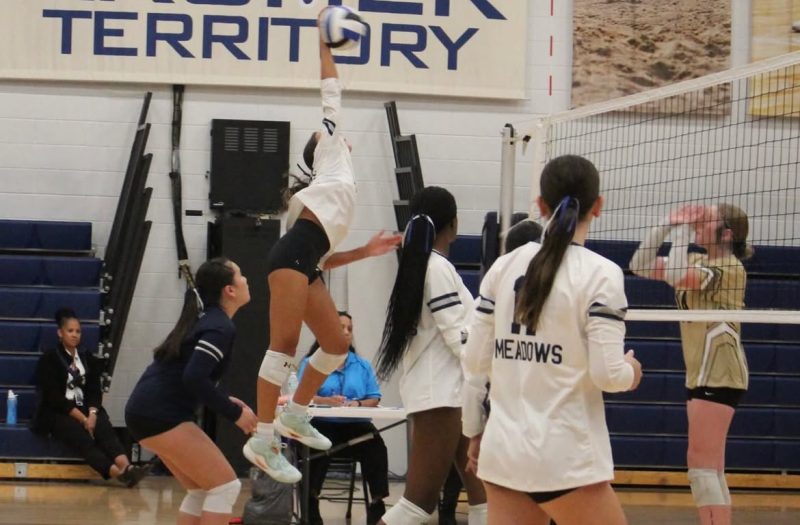 Elite 2030s: The Next Wave of Future Stars