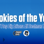 All Freshmen Arizona Team: Rookies of the Year