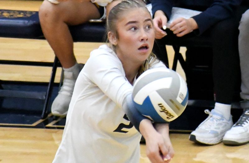 Standout Underclassmen From Oakland County, Part 2