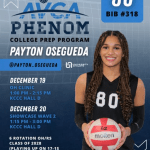 AVCA Phenoms: National Standouts