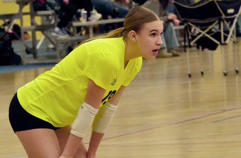 New 16u Pins Emerge from the Frostbite Festival