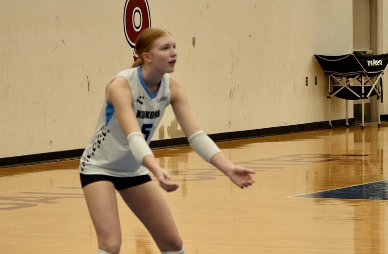 New Talent Across 3 Divisions in the 15s at Big City Luau