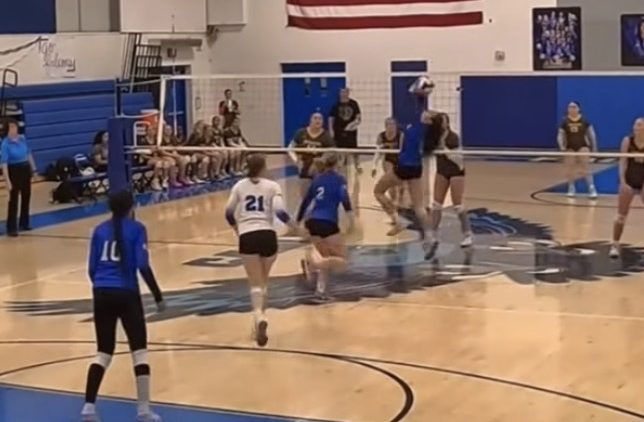 Built Different: 2029 Freshmen to Know