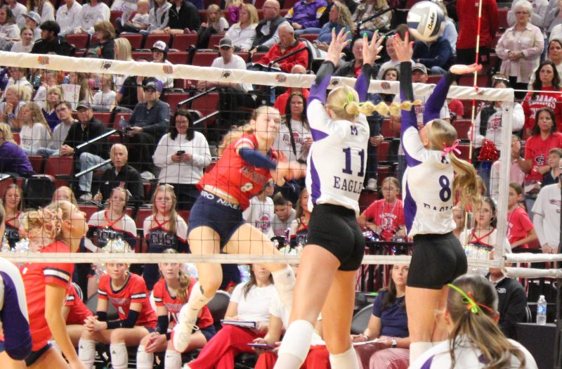 Stat-Stuffing Pin Hitters Soaring into Nebraska 2029 Watch List