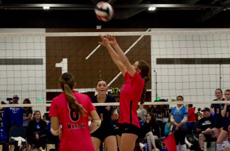 BAM Volleyball Club 16, 15 Pink Teams Overview