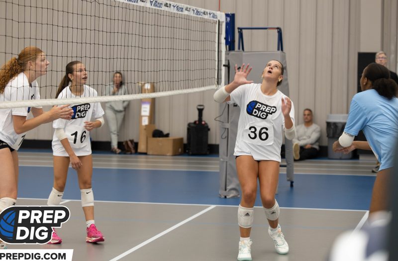 Top Setters at the Michigan Stock Up Showcase