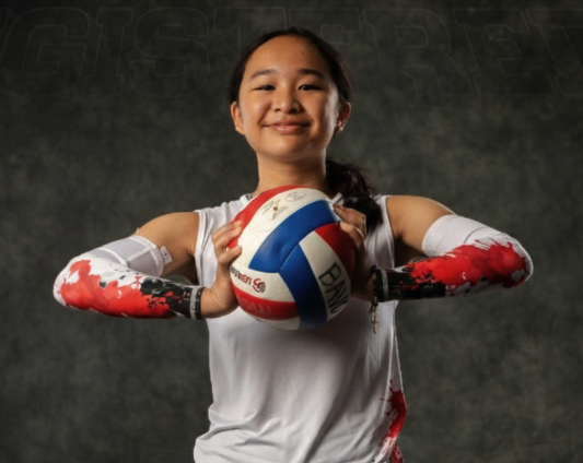 These DS/Liberos Are Learning to Control the Chaos