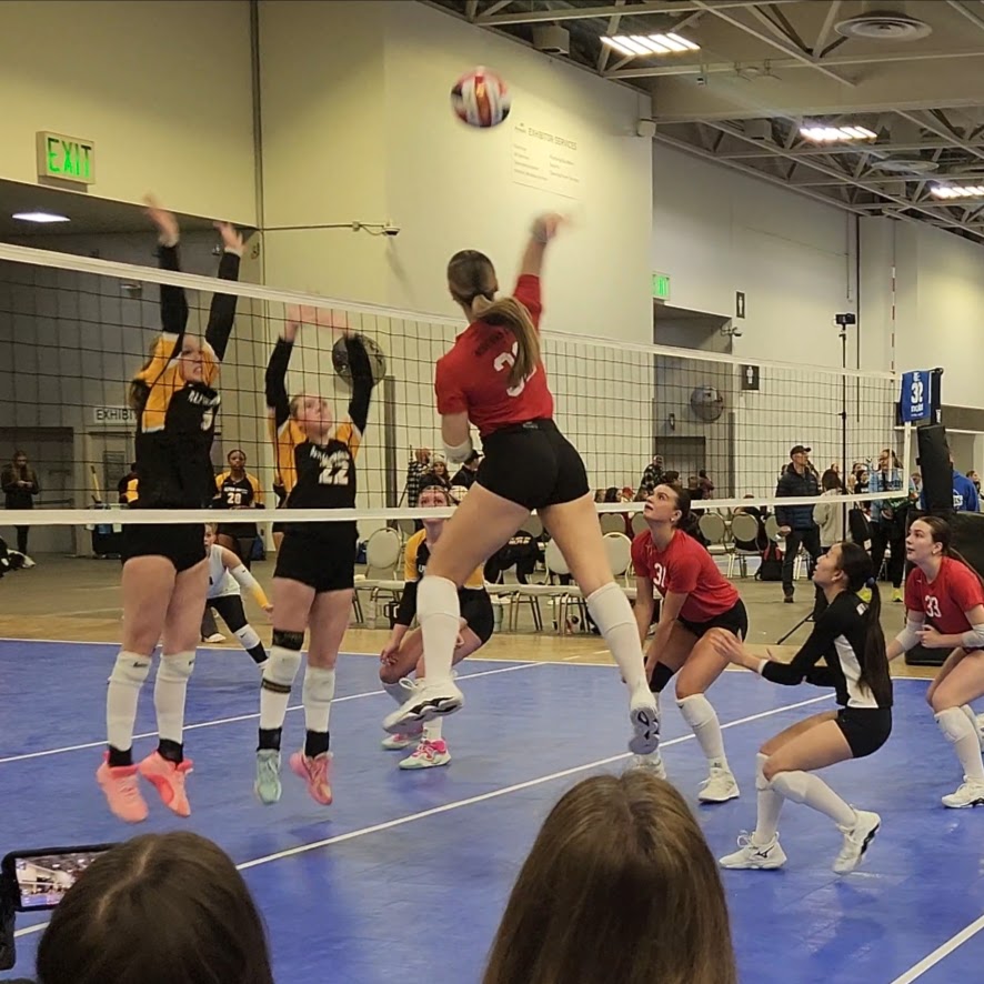 Mickele Mutschelknaus