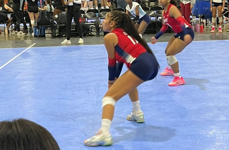 6 Standout Libero and DS from Little Big South