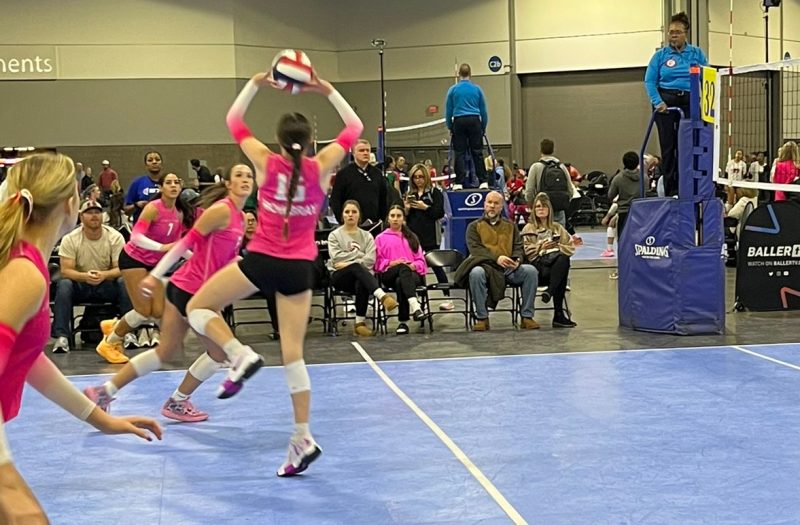 Setters Who Orchestrated Little Big South