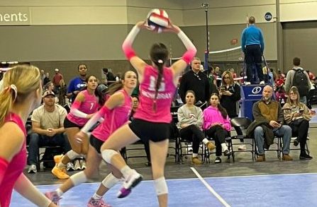 Article 1: Setting the Rhythm — Floor Leaders from the Sunshine Q