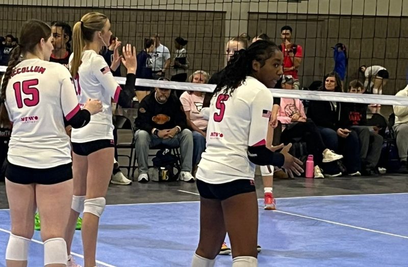 6 Standout Opposites from Little Big South