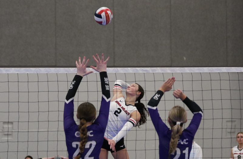 2029s Taking Control Of The Game- Part 2