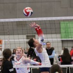 Setters Shine at STL President’s Day Classic