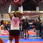 Triple Crown NIT Top Performers Vol 1