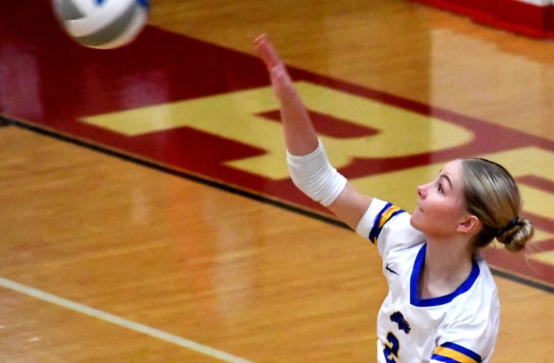 Position Rankings Update: 2028 Liberos