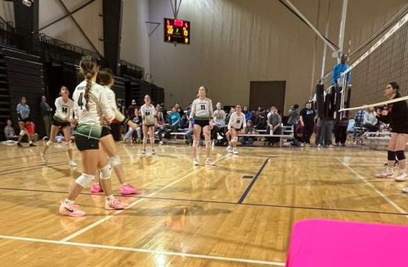 Rally On Live: Middles Learning to Control the Net (Part II)